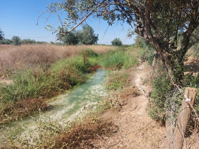 Terreno Agricola ou Rústico para Venda em Bencatel Foto 8