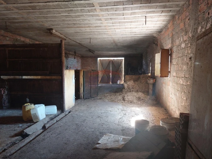 Terreno Agricola ou Rústico para Venda em Bencatel Foto 13