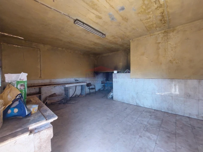 Terreno Agricola ou Rústico para Venda em Bencatel Foto 15