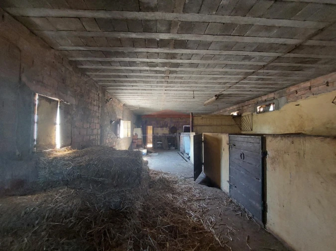 Terreno Agricola ou Rústico para Venda em Bencatel Foto 16