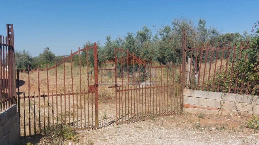 Terreno Agricola ou Rústico para Venda em Bencatel