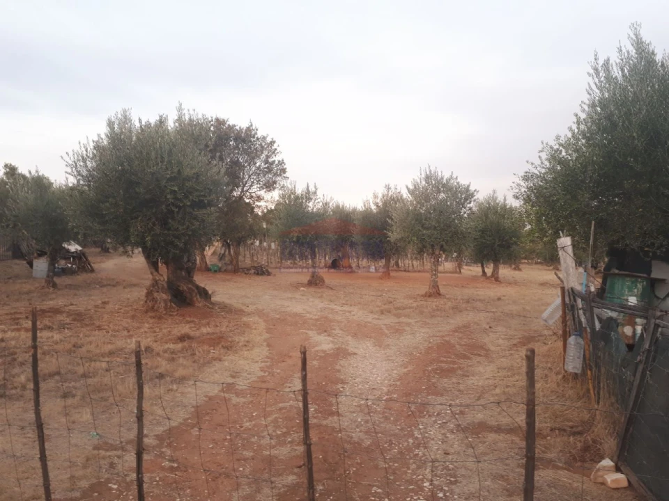 Terreno Agricola ou Rústico para Venda em Nossa Senhora da Conceição e São Bartolomeu Foto 2
