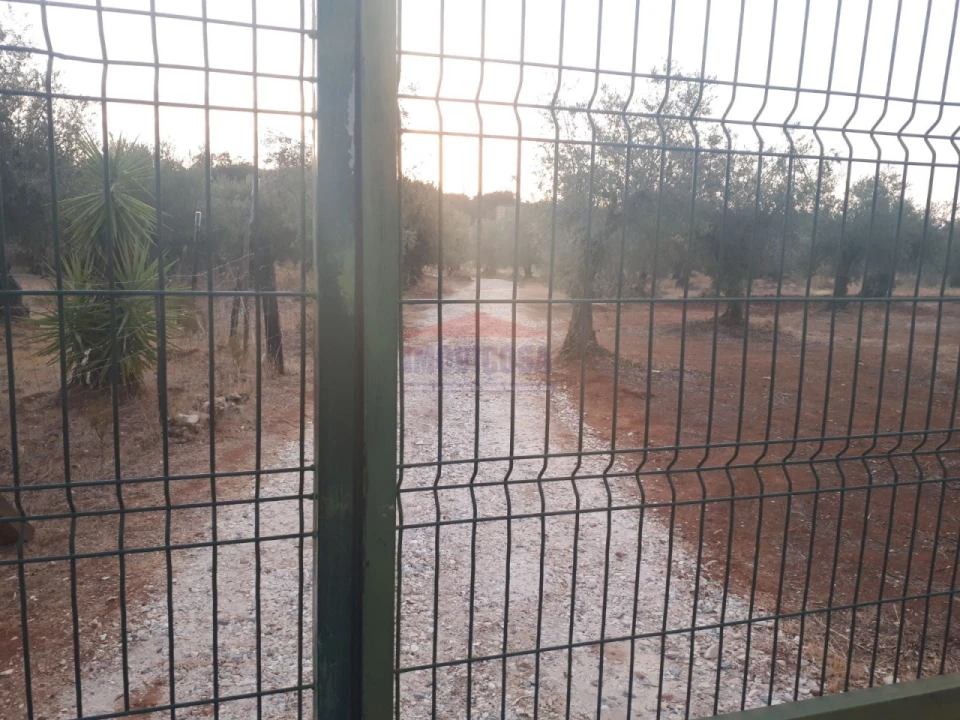 Terreno Agricola ou Rústico para Venda em Nossa Senhora da Conceição e São Bartolomeu Foto 3