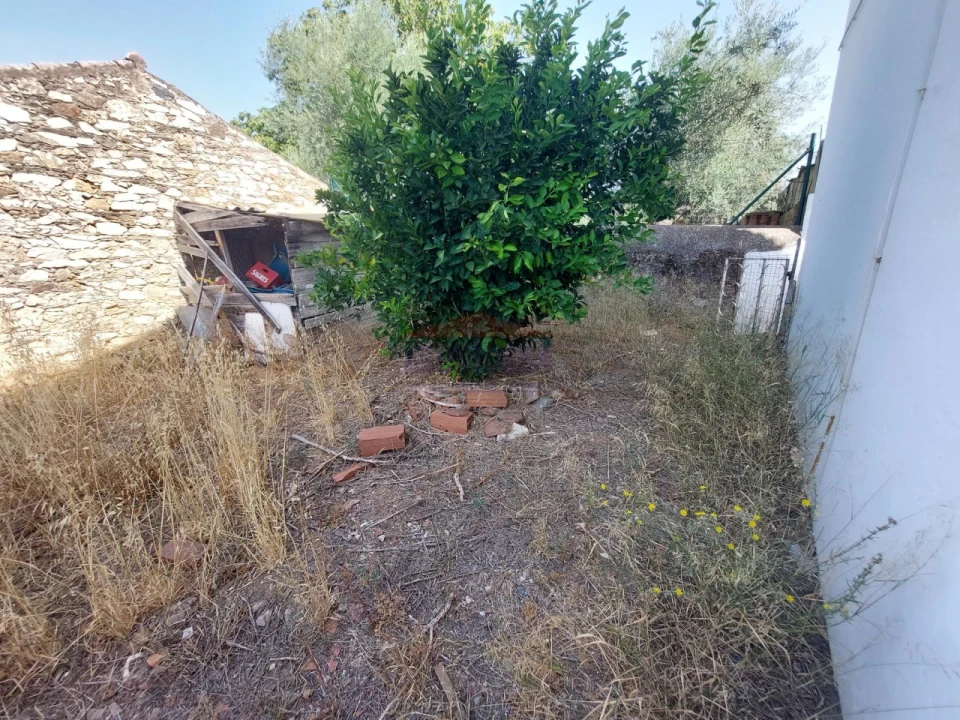 Terreno para Venda em Pardais Foto 6