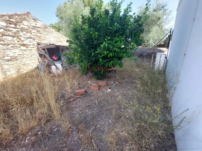 Terreno para Venda em Pardais Foto 6