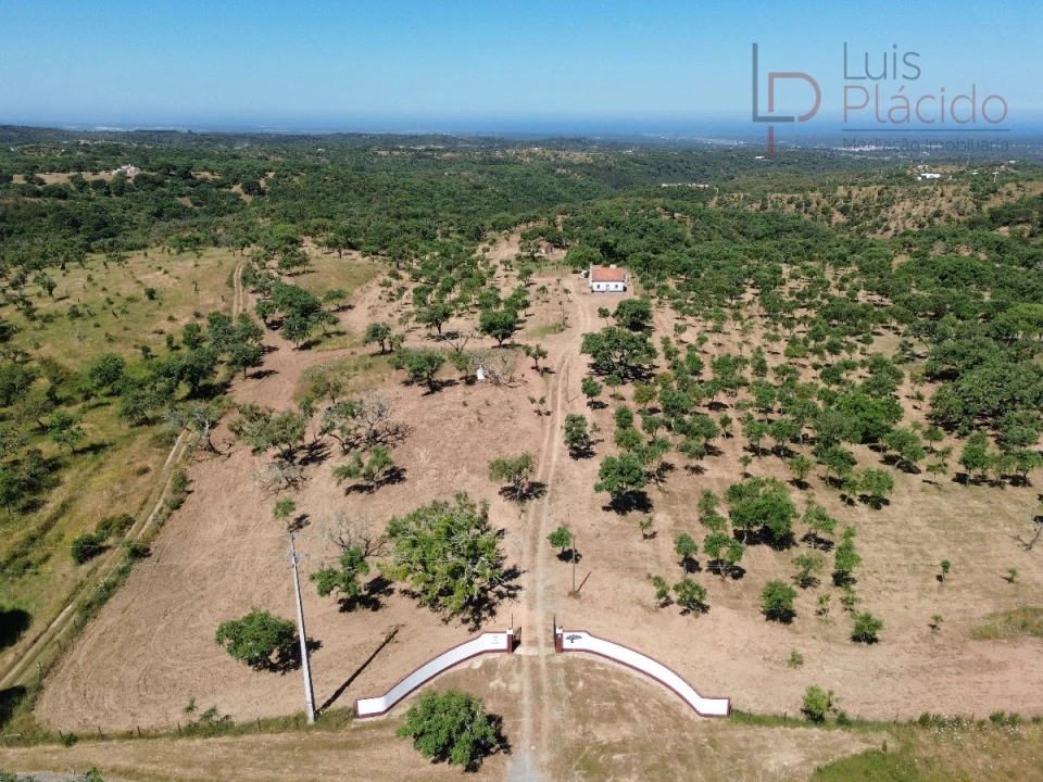 Quinta T2 para Venda em Melides Foto 1