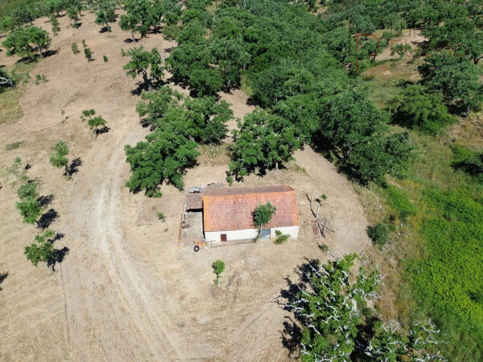 Quinta T2 para Venda em Melides Foto 12