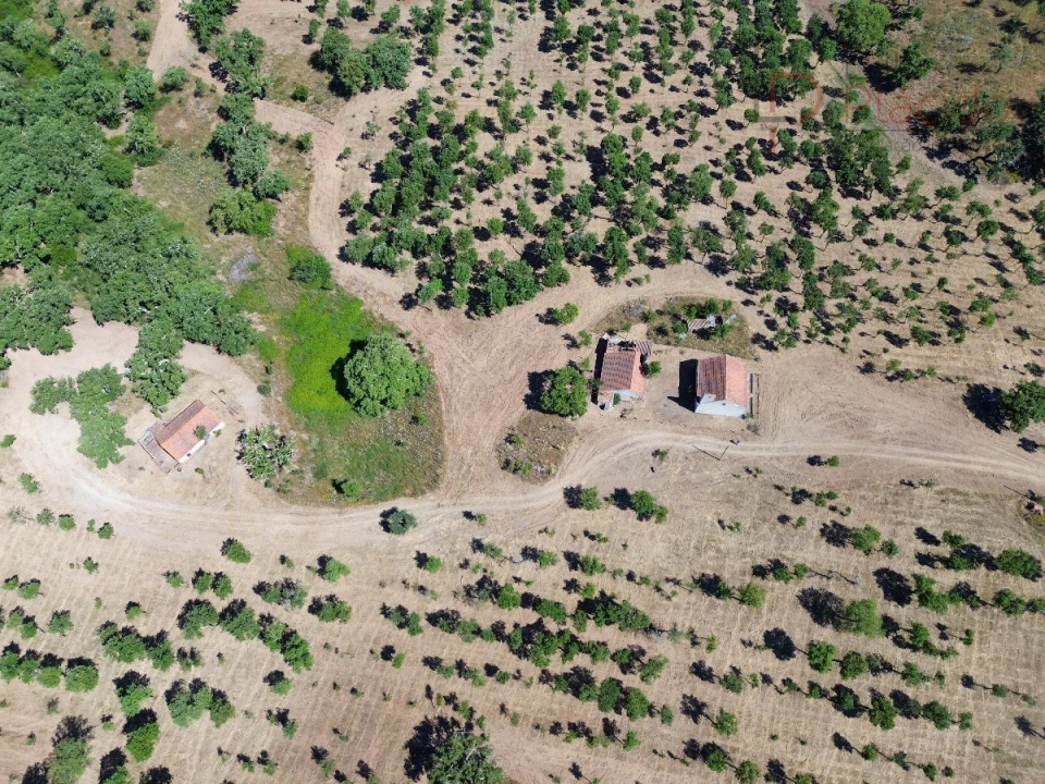Quinta T2 para Venda em Melides Foto 16