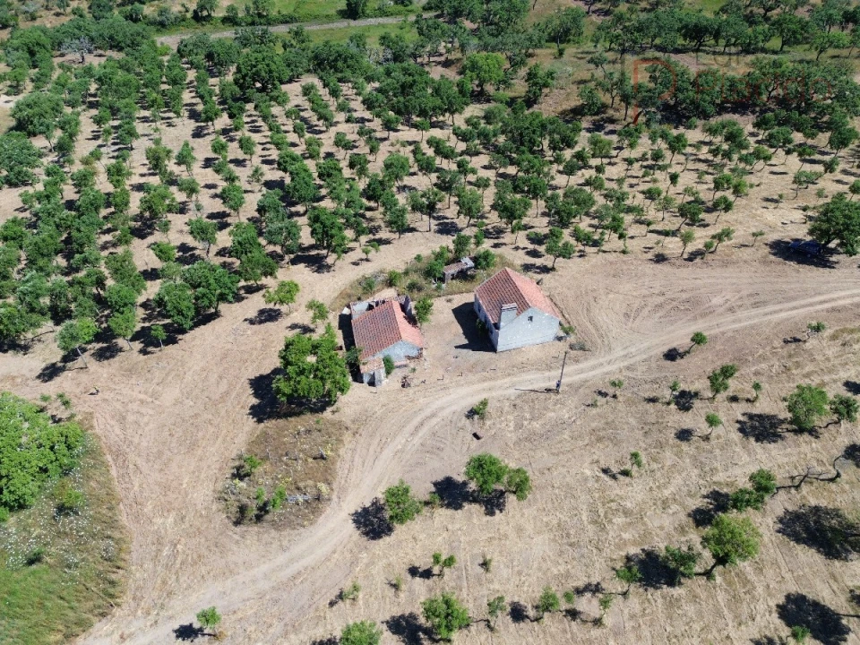 Quinta T2 para Venda em Melides Foto 18