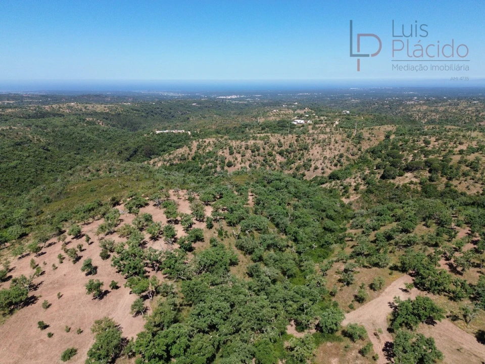 Quinta T2 para Venda em Melides Foto 21