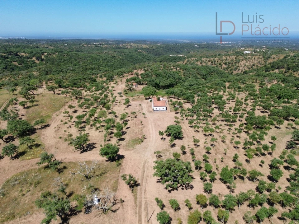 Quinta T2 para Venda em Melides Foto 23