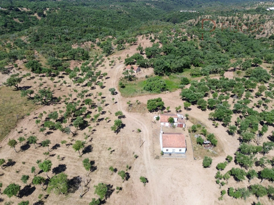 Quinta T2 para Venda em Melides Foto 24