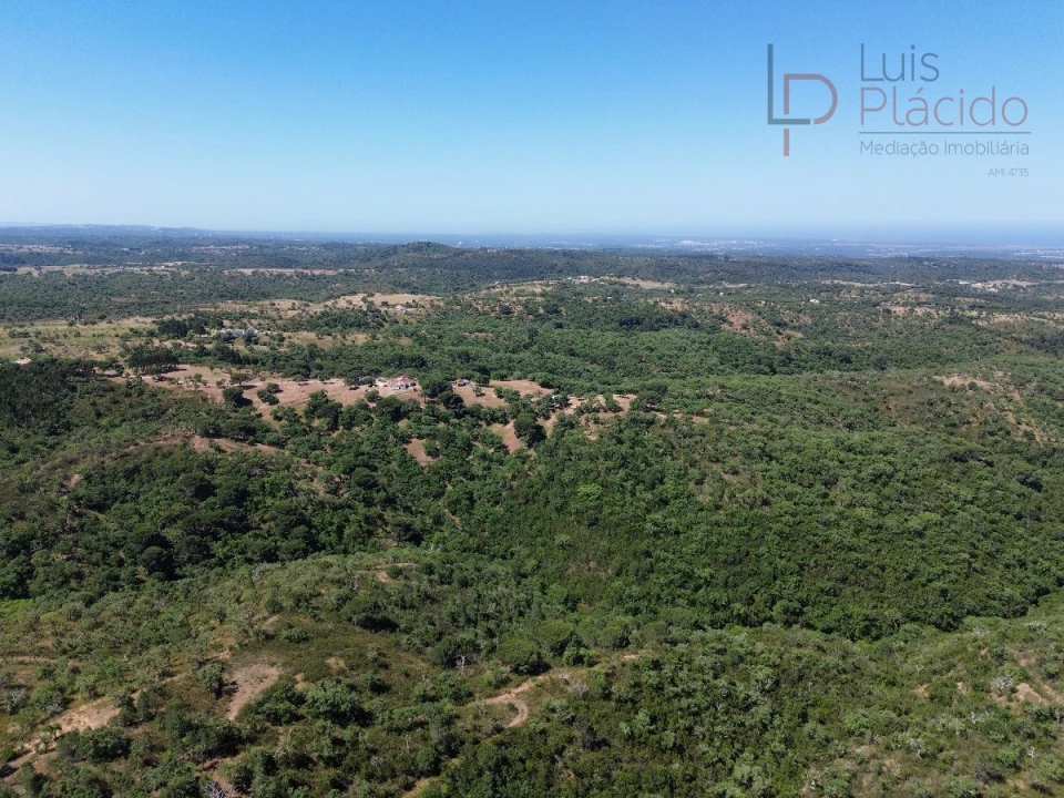 Quinta T2 para Venda em Melides Foto 26