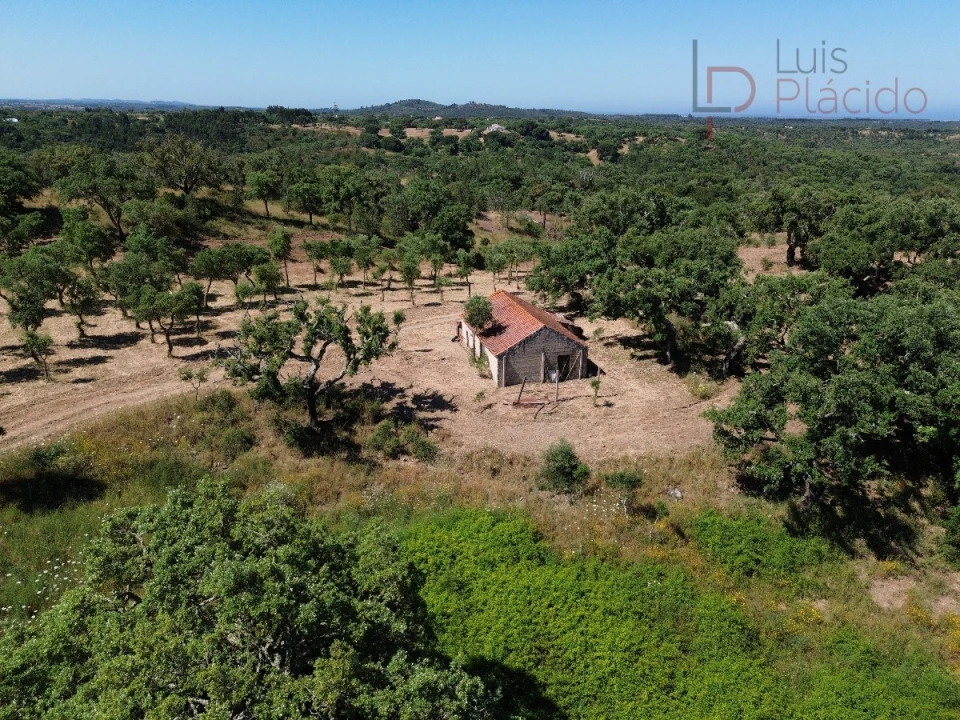 Quinta T2 para Venda em Melides Foto 27