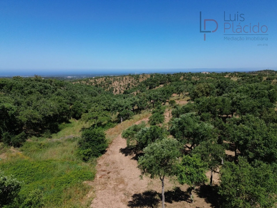 Quinta T2 para Venda em Melides Foto 29