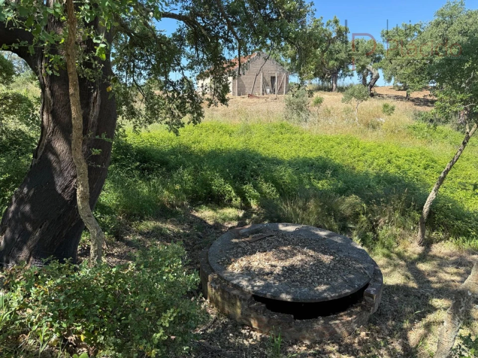 Quinta T2 para Venda em Melides Foto 32