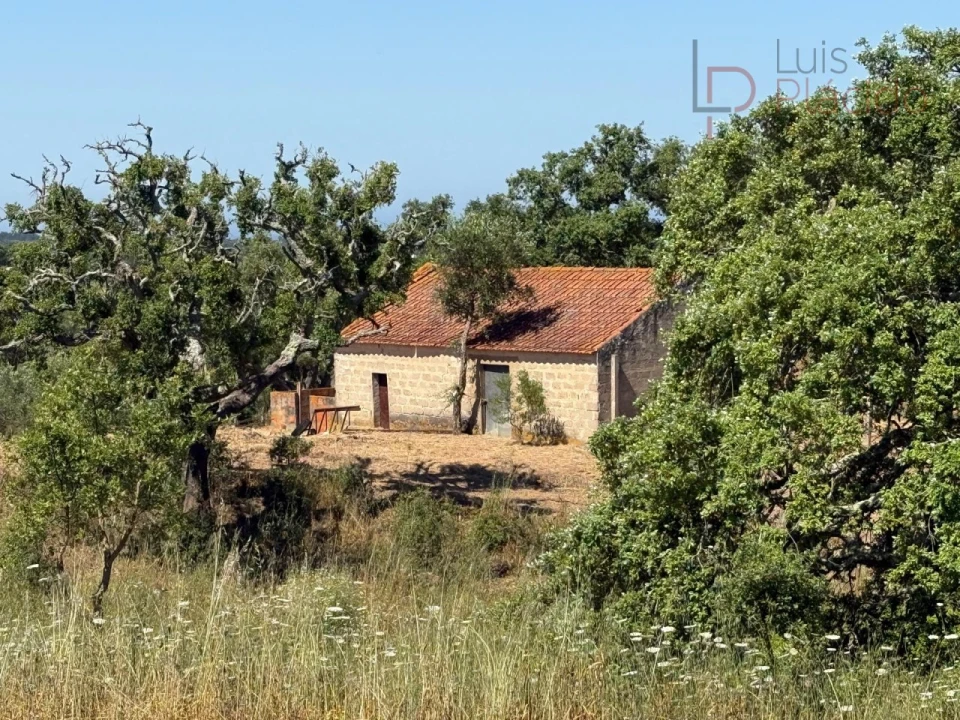 Quinta T2 para Venda em Melides Foto 33