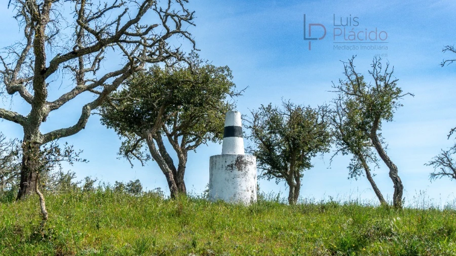 Quinta T2 para Venda em Melides Foto 34
