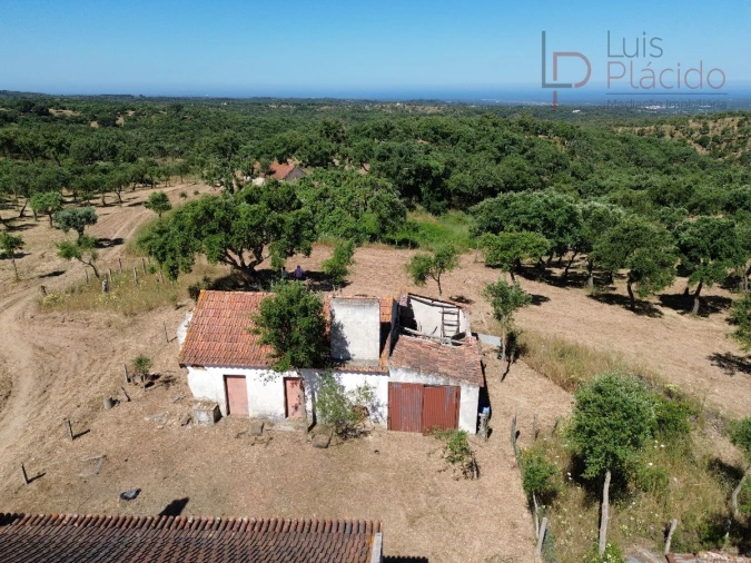 Quinta T2 para Venda em Melides Foto 9