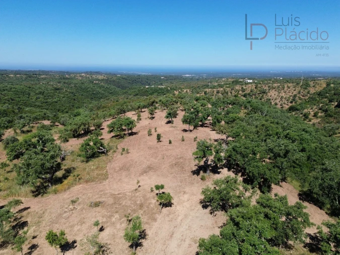 Quinta T2 para Venda em Melides Foto 14