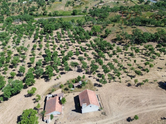 Quinta T2 para Venda em Melides Foto 17