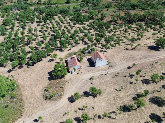 Quinta T2 para Venda em Melides Foto 18