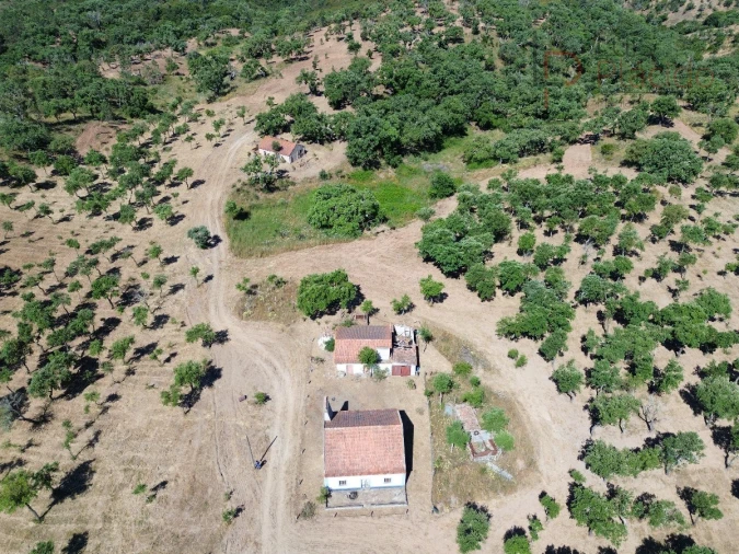 Quinta T2 para Venda em Melides Foto 19