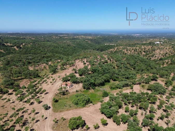 Quinta T2 para Venda em Melides Foto 20