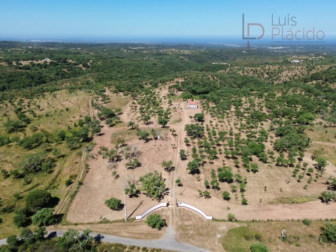Quinta T2 para Venda em Melides Foto 22