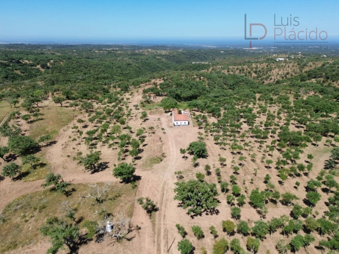 Quinta T2 para Venda em Melides Foto 23