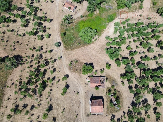 Quinta T2 para Venda em Melides Foto 25