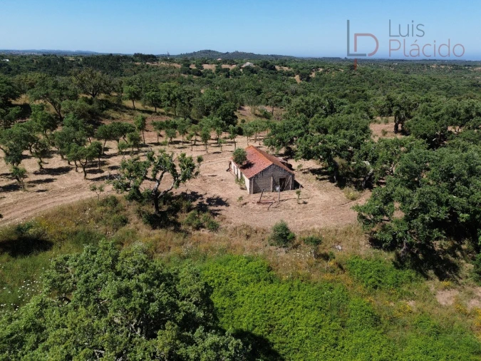 Quinta T2 para Venda em Melides Foto 27