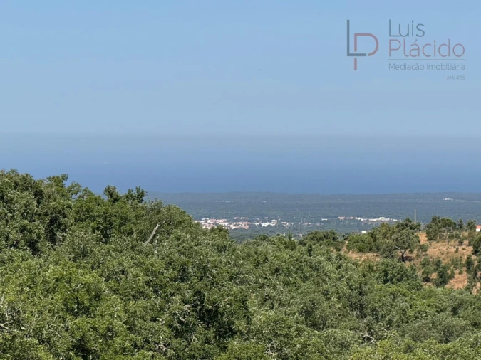 Quinta T2 para Venda em Melides Foto 36