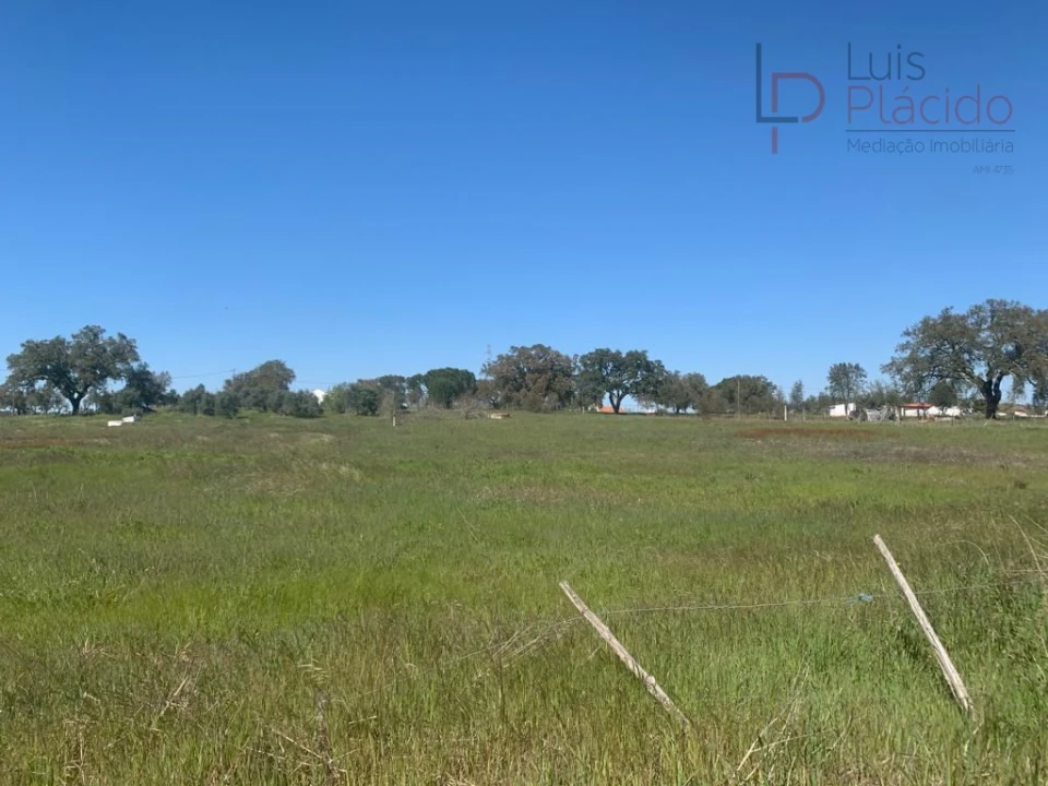Terreno Agricola ou Rústico para Venda em São Domingos e Vale de Água Foto 5