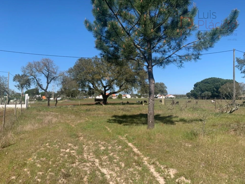 Terreno Agricola ou Rústico para Venda em São Domingos e Vale de Água Foto 7