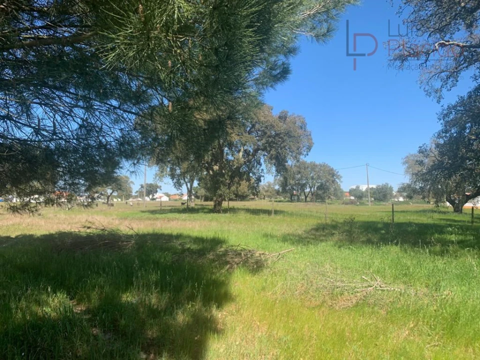 Terreno Agricola ou Rústico para Venda em São Domingos e Vale de Água Foto 9