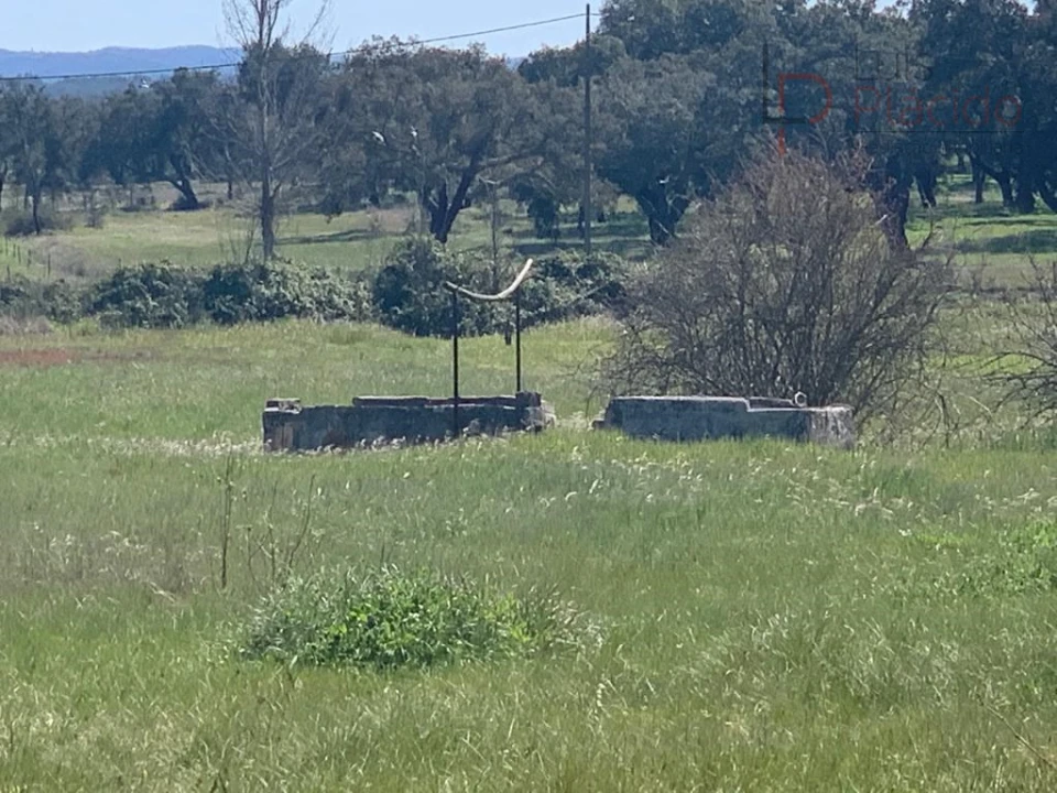 Terreno Agricola ou Rústico para Venda em São Domingos e Vale de Água Foto 11