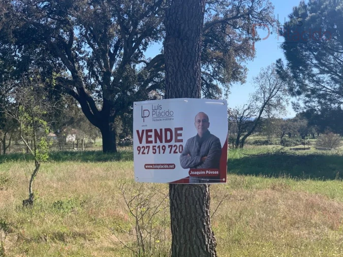 Terreno Agricola ou Rústico para Venda em São Domingos e Vale de Água Foto 2