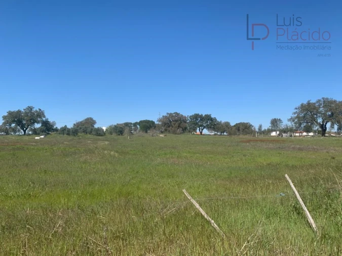 Terreno Agricola ou Rústico para Venda em São Domingos e Vale de Água Foto 5