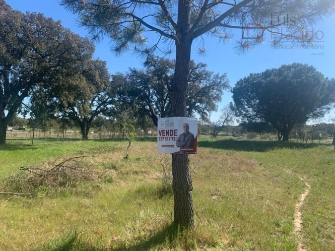 Terreno Agricola ou Rústico para Venda em São Domingos e Vale de Água Foto 15
