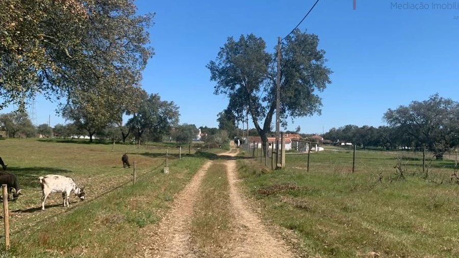Terreno Agricola ou Rústico para Venda em São Domingos e Vale de Água