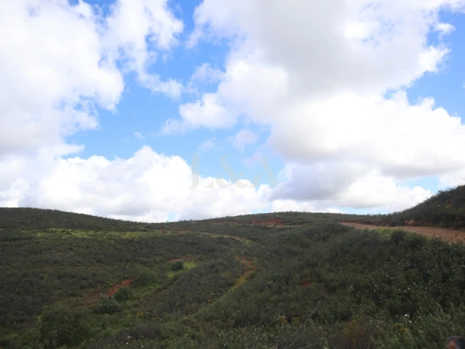 Terreno para Venda em Tavira (Santa Maria e Santiago) Foto 11