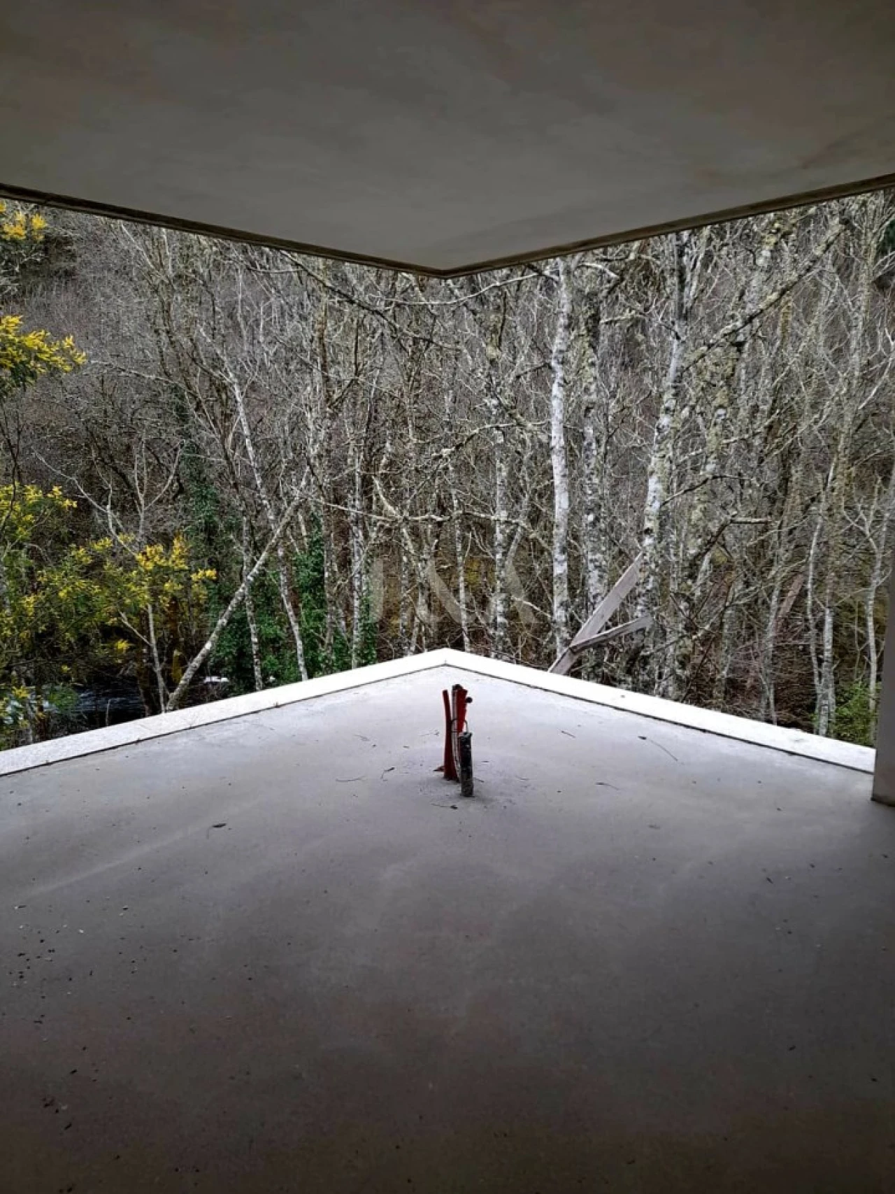 Quinta para Venda em Insua Foto 25