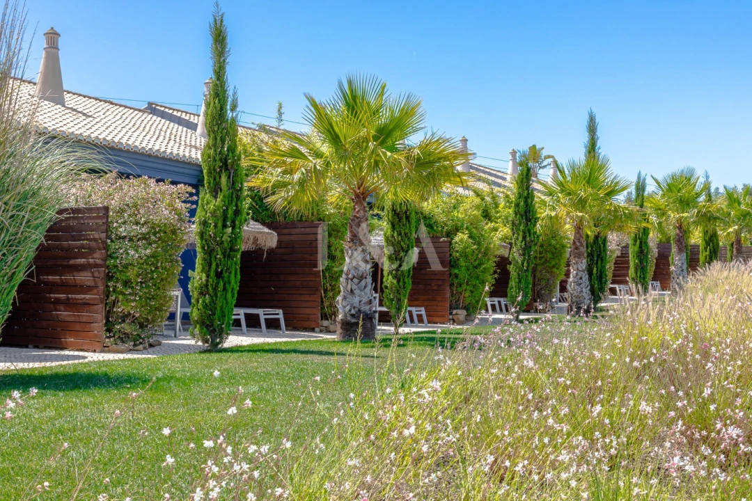 Negócio para Venda em Luz Foto 18
