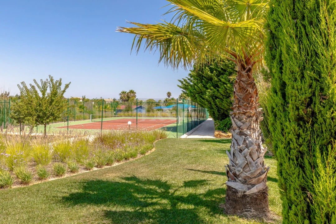 Negócio para Venda em Luz Foto 27