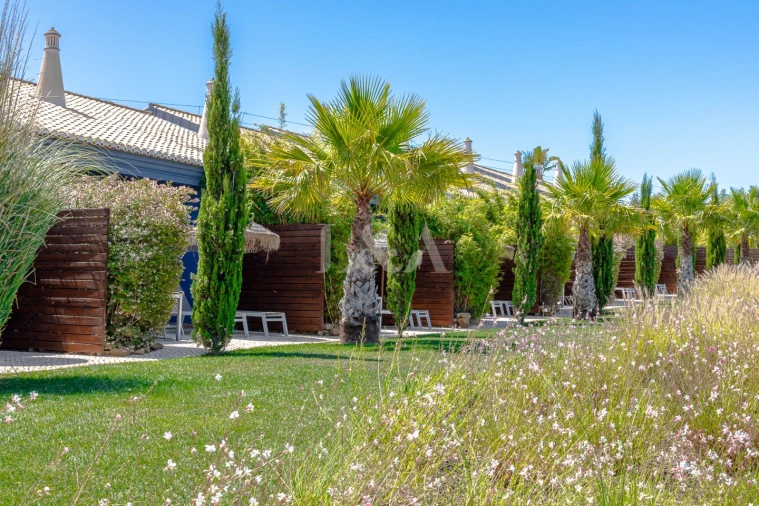 Negócio para Venda em Luz Foto 18