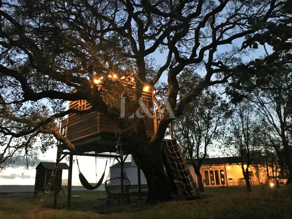 Negócio para Venda em São Teotónio Foto 59