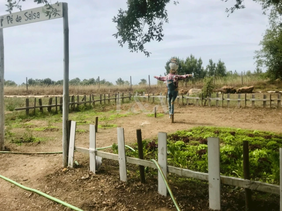 Negócio para Venda em São Teotónio Foto 60