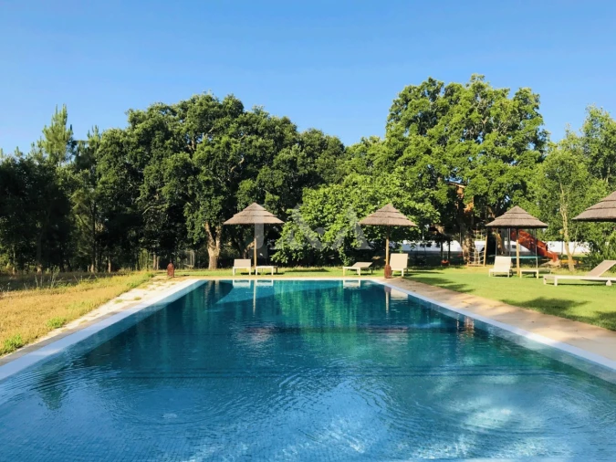 Negócio para Venda em São Teotónio Foto 39