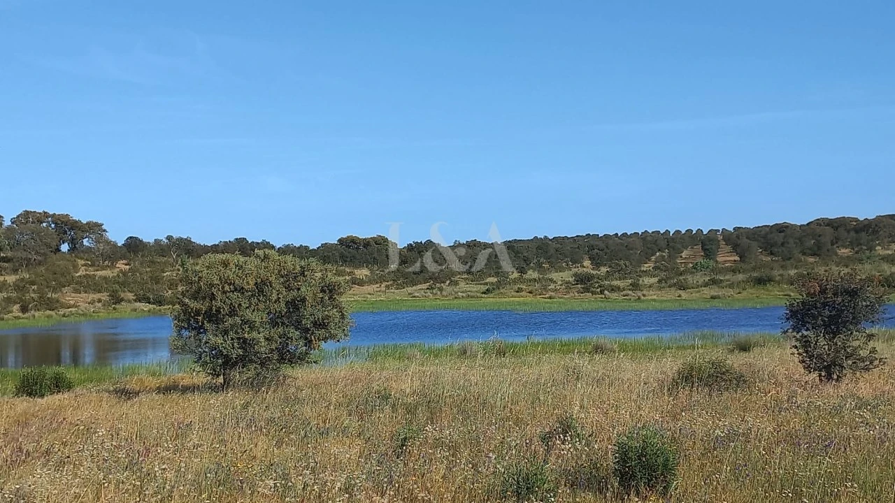 Quinta para Venda em Rosario Foto 2